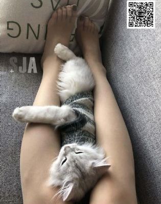 新员工韩剧