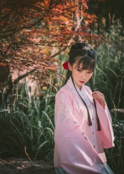 芳芳郁金香