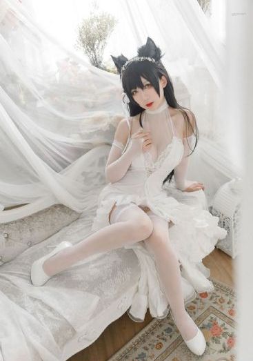 特级黄色毛片