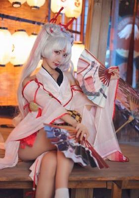 吾家有女初长成电视剧
