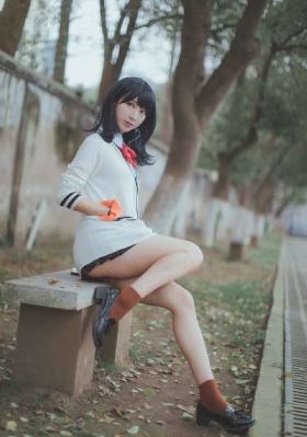 cupfox茶杯狐