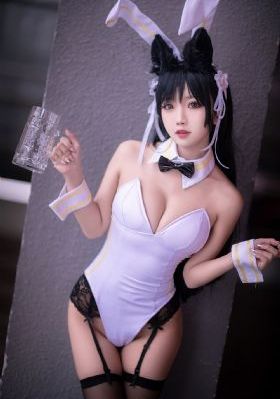 骑士动漫